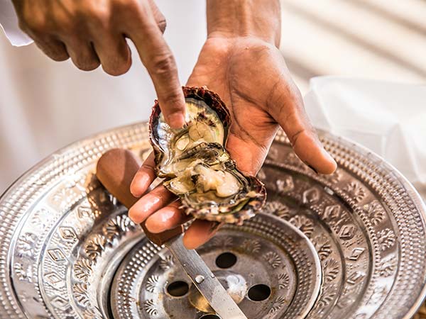 Suwaidi Pearl Farm Tour