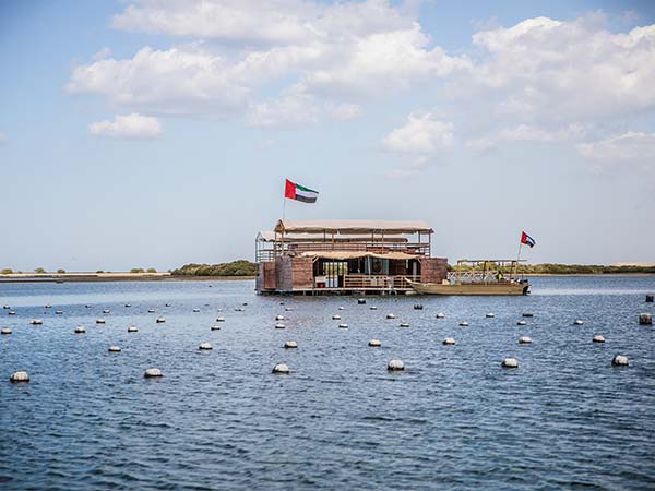 Suwaidi Pearl Farm Tour