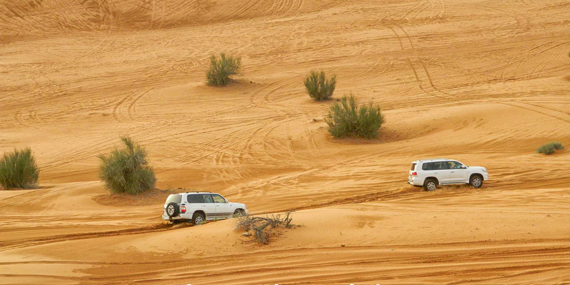 Hold on for dear life with a 4×4 dune bashing adventure