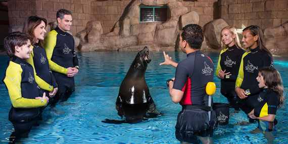 Get soaked at Atlantis Aquaventure Waterpark