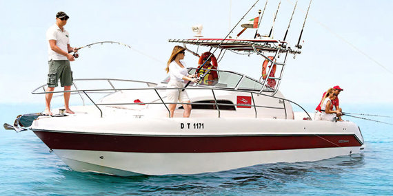 Board a luxurious yacht tour