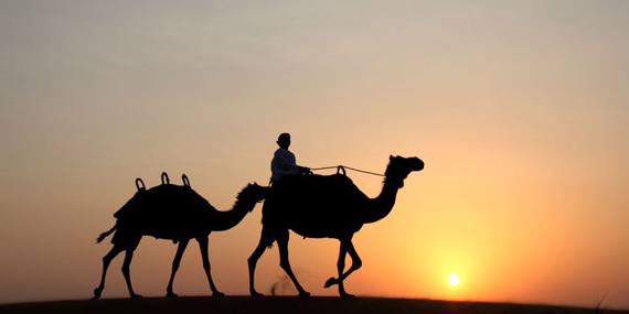 Go camel riding in the desert