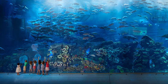 Dubai Aquarium & Underwater Zoo