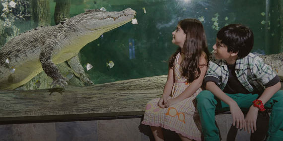 Dubai Aquarium & Underwater Zoo