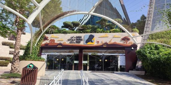 Greet the animals at Dubai Safari Park