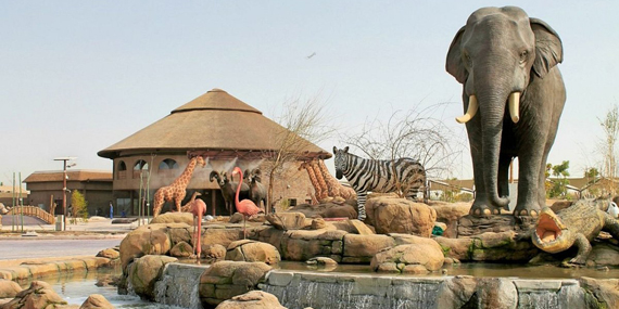 Greet the animals at Dubai Safari Park