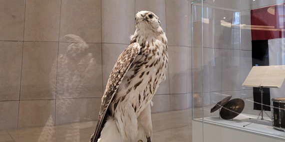 Learn the UAE’s history at the Etihad Museum