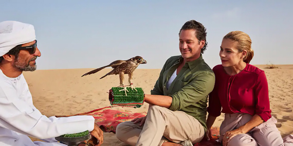 Learn the ways of falconry