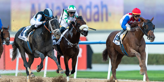 Catch a few horse races at the Meydan Grandstand