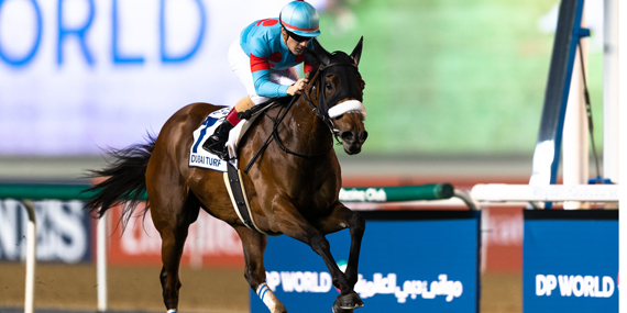 Catch a few horse races at the Meydan Grandstand