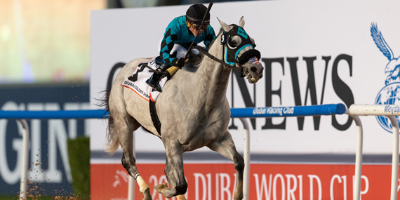 Catch a few horse races at the Meydan Grandstand
