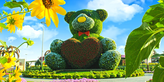 Snap amazing photos at the Dubai Miracle Garden
