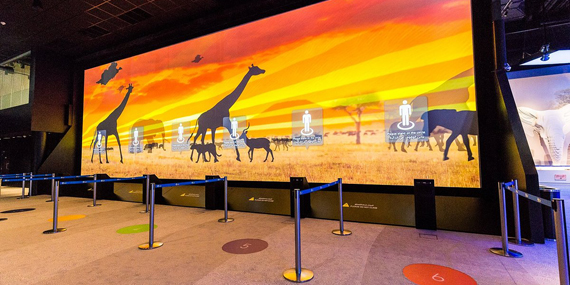 Blend nature with technology at Orbi Dubai