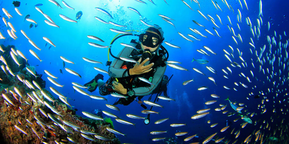 Go scuba diving at Fujairah