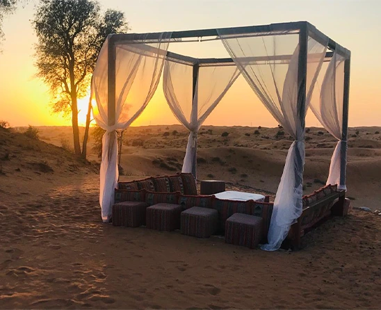 Romantic Desert Dinner