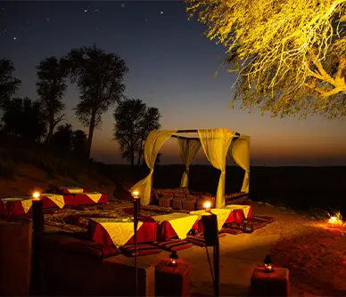 Romantic Desert Dinner