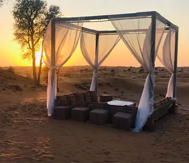 Romantic Desert Dinner