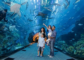 Dubai Aquarium image