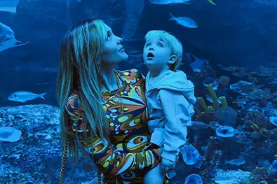 Dubai Aquarium tickets