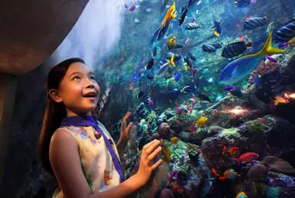 Touch Tank