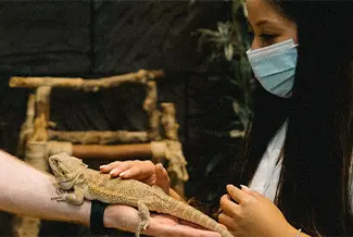 Reptile encounter