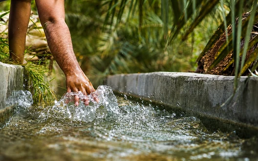 Traditional falaj irrigation water flowing through Al Ain Oasis beneath date palms