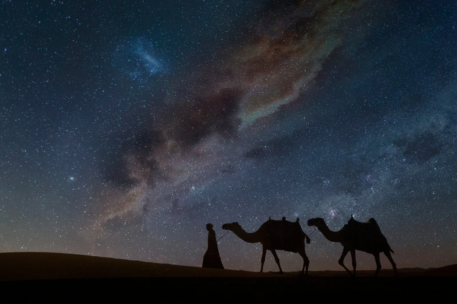 Camels silhouetted under the night sky in the Liwa desert