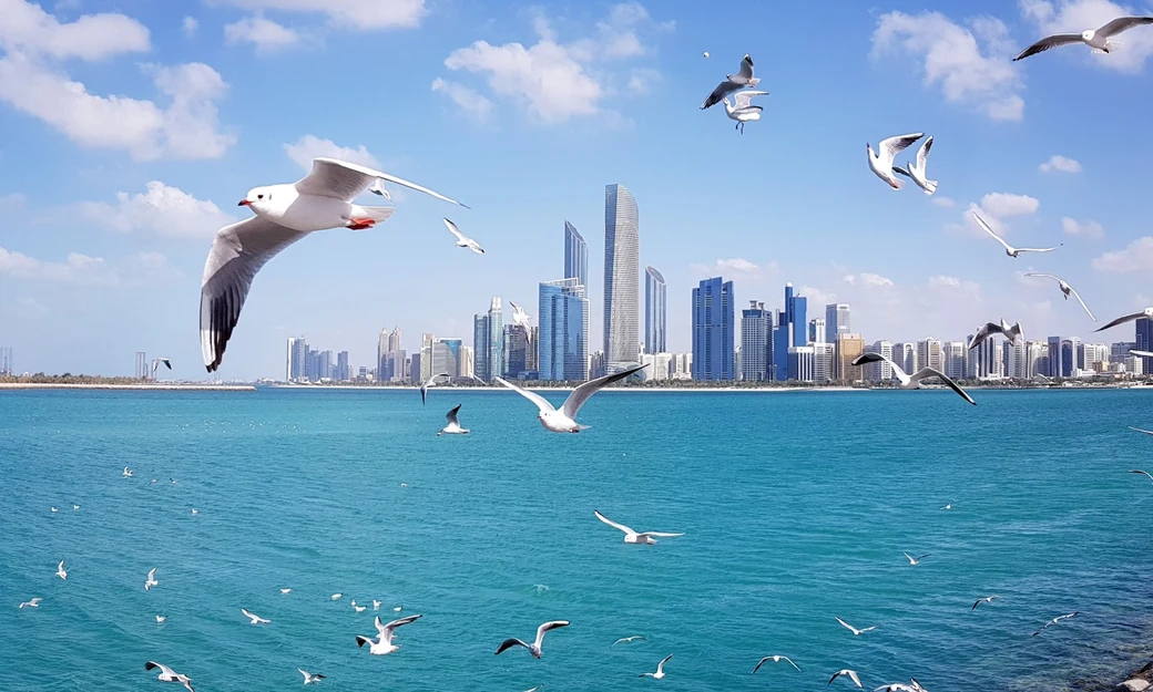 Abu Dhabi Corniche skyline across turquoise water with seagulls