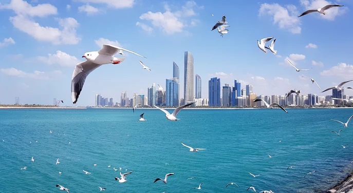 Abu Dhabi Corniche skyline across turquoise water with seagulls