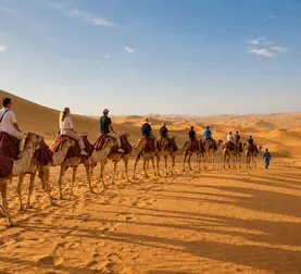 Daylight camel procession led across open Abu Dhabi dunes