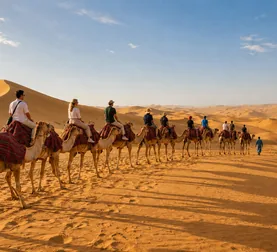 Camel caravan moving across the Abu Dhabi dunes in golden light