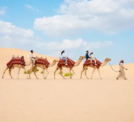 Morning camel caravan crossing pale Abu Dhabi desert dunes