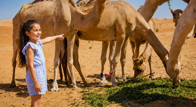 Child meeting calm camels during a private Abu Dhabi camel farm visit