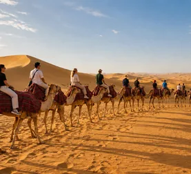 Guests enjoying a sunset camel caravan in Abu Dhabi