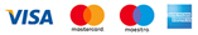 Pay Currencies Visa