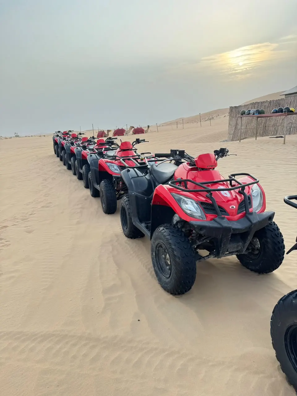 Red 250cc quad bikes lined up at a desert camp in Abu Dhabi
