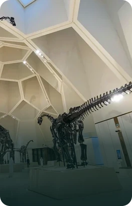 Natural History Museum