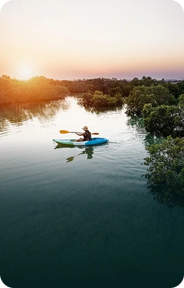 Mangrove kayaking