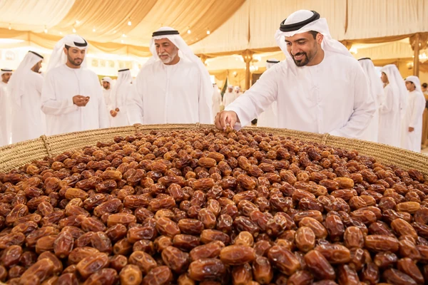 Emirati men selecting dates at a traditional Abu Dhabi festival