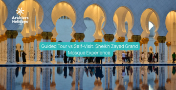 Guided Tour vs Self-Visit: Sheikh Zayed Grand Mosque Ultimate Experience