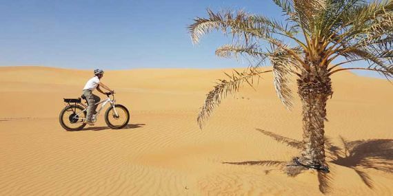 Bike across the liwa dunes