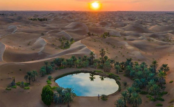 Admire a secret oasis