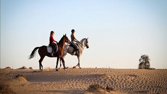 Explore the desert on horseback