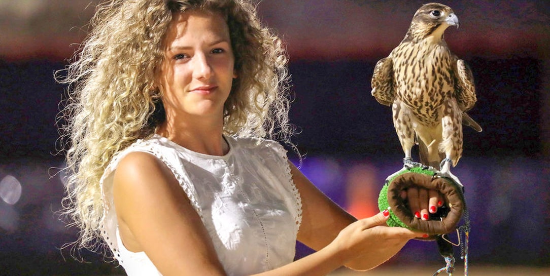 photo with a falcon in abu dhabi