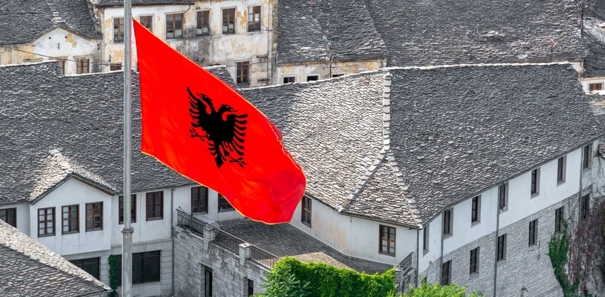 Dubai resident completing the Albania e-visa application online on the official portal