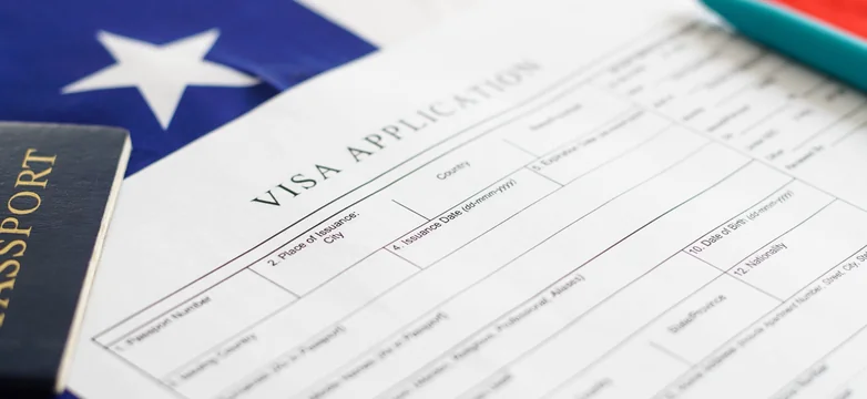 Chart of the most common US visit visa refusal themes for applicants from Dubai, from a 12-month review