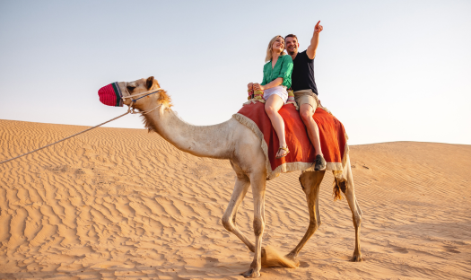 Dubai Honeymoon Holiday – 4 and 5 Star Stay
