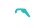 customs icon