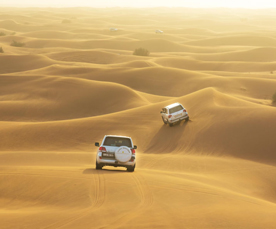 Desert Tours