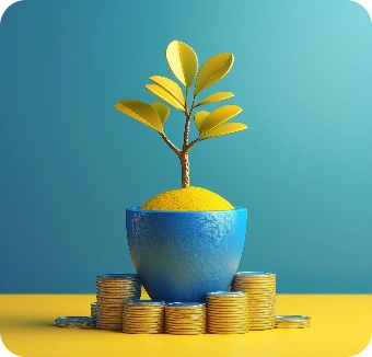 Investors in public investments